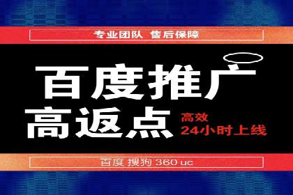 竞价广告策略案例分析